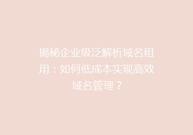 揭秘企业级泛解析域名租用：如何低成本实现高效域名管理？