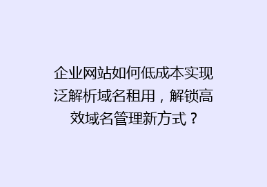 企业网站如何低成本实现泛解析域名租用，解锁高效域名管理新方式？