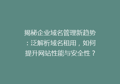 揭秘企业域名管理新趋势：泛解析域名租用，如何提升网站性能与安全性？