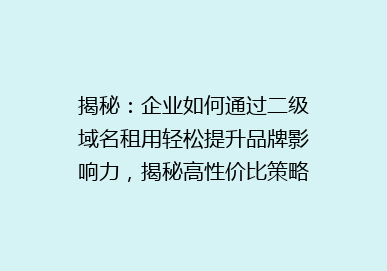 揭秘：企业如何通过二级域名租用轻松提升品牌影响力，揭秘高性价比策略！