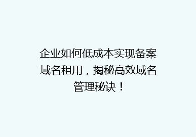 企业如何低成本实现备案域名租用，揭秘高效域名管理秘诀！