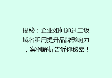 揭秘：企业如何通过二级域名租用提升品牌影响力，案例解析告诉你秘密！