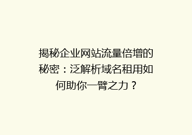 揭秘企业网站流量倍增的秘密：泛解析域名租用如何助你一臂之力？
