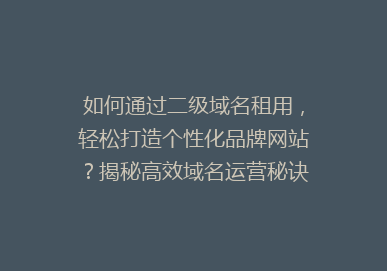 如何通过二级域名租用，轻松打造个性化品牌网站？揭秘高效域名运营秘诀！