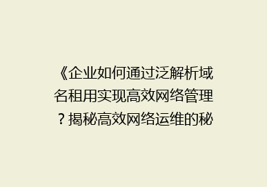 《企业如何通过泛解析域名租用实现高效网络管理？揭秘高效网络运维的秘密武器》