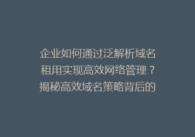 企业如何通过泛解析域名租用实现高效网络管理？揭秘高效域名策略背后的秘密！