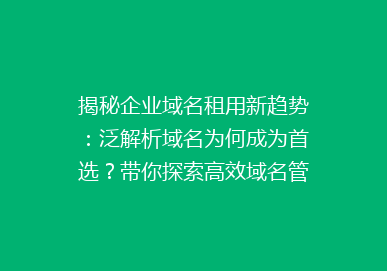 揭秘企业域名租用新趋势：泛解析域名为何成为首选？带你探索高效域名管理之道！