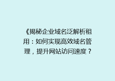《揭秘企业域名泛解析租用：如何实现高效域名管理，提升网站访问速度？》