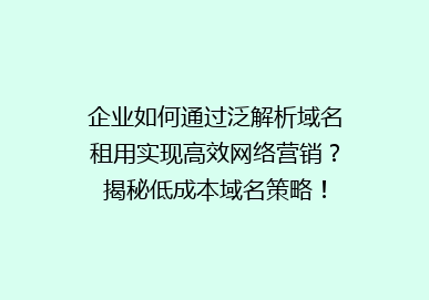 企业如何通过泛解析域名租用实现高效网络营销？揭秘低成本域名策略！