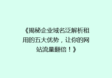 《揭秘企业域名泛解析租用的五大优势，让你的网站流量翻倍！》