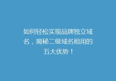 如何轻松实现品牌独立域名，揭秘二级域名租用的五大优势！