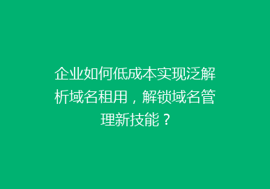 企业如何低成本实现泛解析域名租用，解锁域名管理新技能？