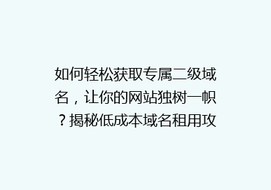 如何轻松获取专属二级域名，让你的网站独树一帜？揭秘低成本域名租用攻略！