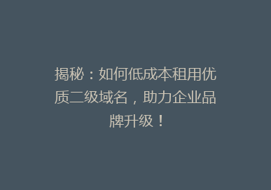 揭秘：如何低成本租用优质二级域名，助力企业品牌升级！