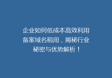企业如何低成本高效利用备案域名租用，揭秘行业秘密与优势解析！
