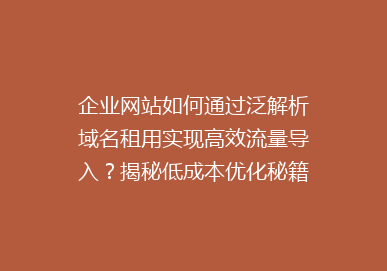 企业网站如何通过泛解析域名租用实现高效流量导入？揭秘低成本优化秘籍！