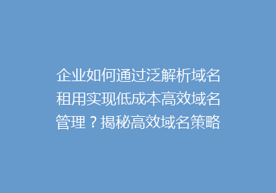 企业如何通过泛解析域名租用实现低成本高效域名管理？揭秘高效域名策略！