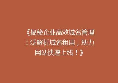 《揭秘企业高效域名管理：泛解析域名租用，助力网站快速上线！》