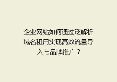 企业网站如何通过泛解析域名租用实现高效流量导入与品牌推广？