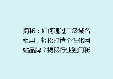 揭秘：如何通过二级域名租用，轻松打造个性化网站品牌？揭秘行业独门秘籍！