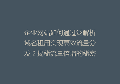企业网站如何通过泛解析域名租用实现高效流量分发？揭秘流量倍增的秘密！