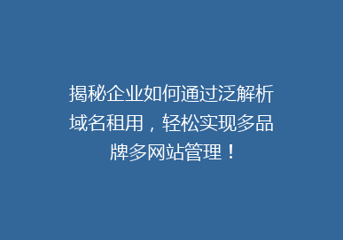 揭秘企业如何通过泛解析域名租用，轻松实现多品牌多网站管理！