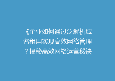 《企业如何通过泛解析域名租用实现高效网络管理？揭秘高效网络运营秘诀》