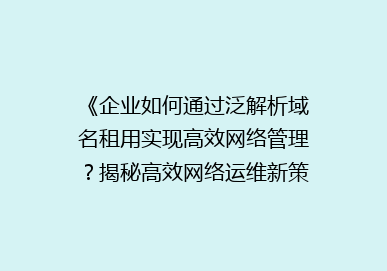 《企业如何通过泛解析域名租用实现高效网络管理？揭秘高效网络运维新策略》