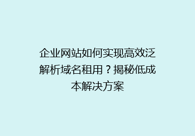 企业网站如何实现高效泛解析域名租用？揭秘低成本解决方案