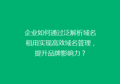 企业如何通过泛解析域名租用实现高效域名管理，提升品牌影响力？