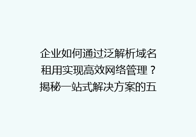 企业如何通过泛解析域名租用实现高效网络管理？揭秘一站式解决方案的五大优势