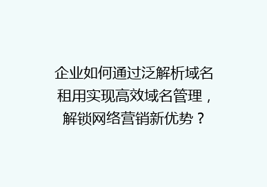 企业如何通过泛解析域名租用实现高效域名管理，解锁网络营销新优势？