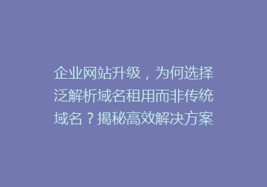 企业网站升级，为何选择泛解析域名租用而非传统域名？揭秘高效解决方案！