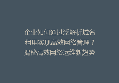 企业如何通过泛解析域名租用实现高效网络管理？揭秘高效网络运维新趋势！