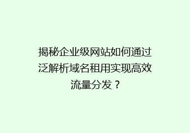 揭秘企业级网站如何通过泛解析域名租用实现高效流量分发？