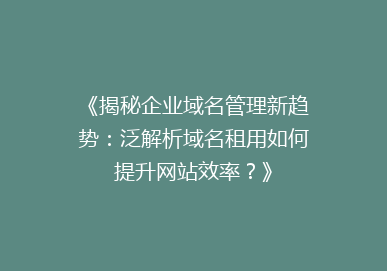 《揭秘企业域名管理新趋势：泛解析域名租用如何提升网站效率？》