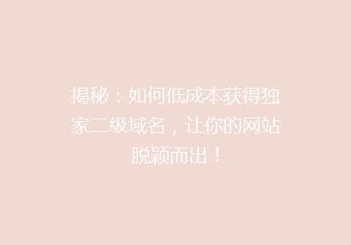 揭秘：如何低成本获得独家二级域名，让你的网站脱颖而出！
