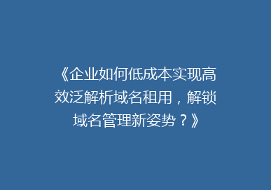 《企业如何低成本实现高效泛解析域名租用，解锁域名管理新姿势？》