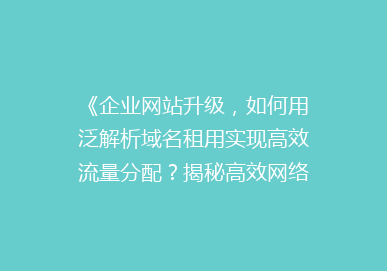 《企业网站升级，如何用泛解析域名租用实现高效流量分配？揭秘高效网络运营秘诀》