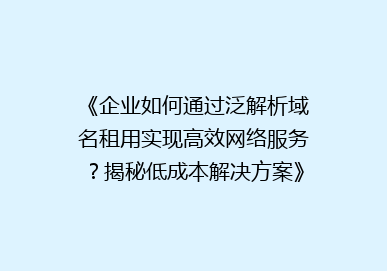 《企业如何通过泛解析域名租用实现高效网络服务？揭秘低成本解决方案》