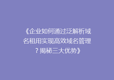 《企业如何通过泛解析域名租用实现高效域名管理？揭秘三大优势》