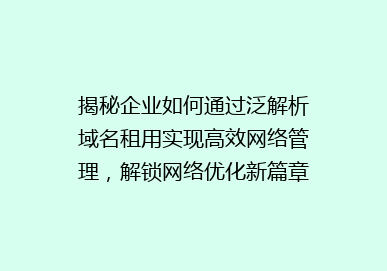 揭秘企业如何通过泛解析域名租用实现高效网络管理，解锁网络优化新篇章！