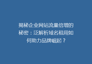 揭秘企业网站流量倍增的秘密：泛解析域名租用如何助力品牌崛起？