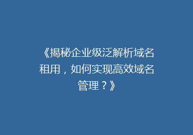 《揭秘企业级泛解析域名租用，如何实现高效域名管理？》