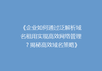 《企业如何通过泛解析域名租用实现高效网络管理？揭秘高效域名策略》