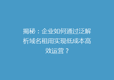 揭秘：企业如何通过泛解析域名租用实现低成本高效运营？