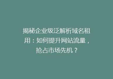 揭秘企业级泛解析域名租用：如何提升网站流量，抢占市场先机？