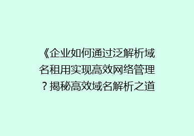 《企业如何通过泛解析域名租用实现高效网络管理？揭秘高效域名解析之道》