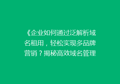 《企业如何通过泛解析域名租用，轻松实现多品牌营销？揭秘高效域名管理之道》