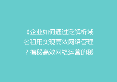 《企业如何通过泛解析域名租用实现高效网络管理？揭秘高效网络运营的秘诀》
